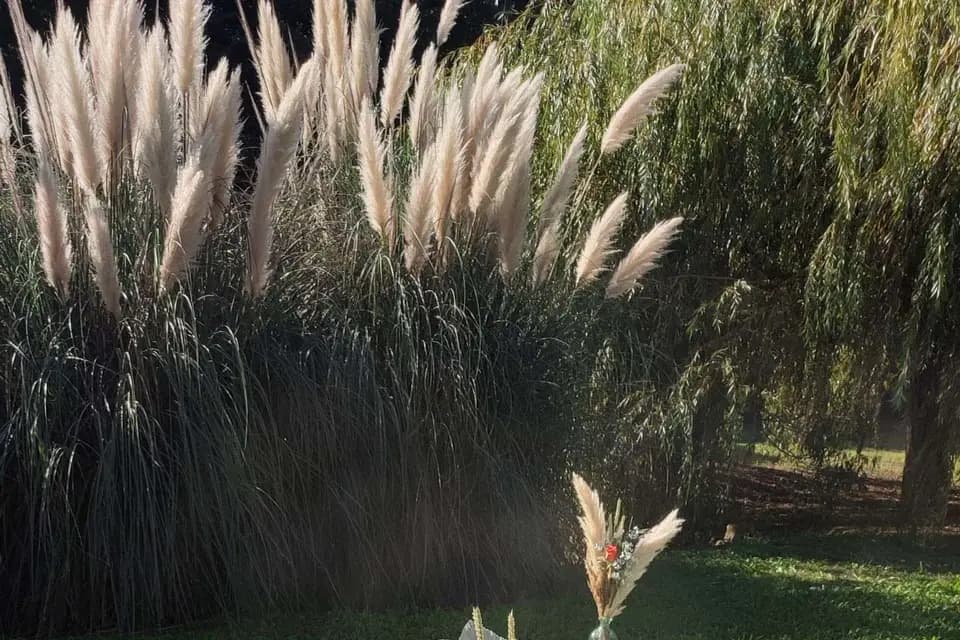 Maiha Events — photo 8