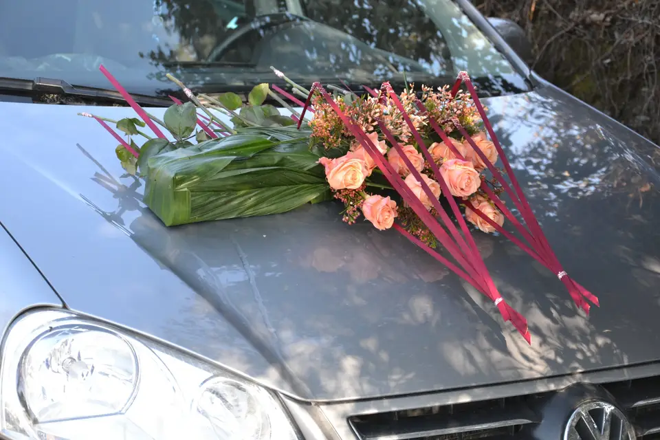 L'Atelier Vert — photo 6