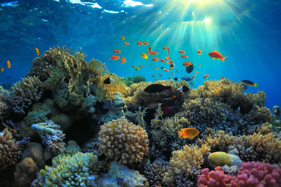 My Asian Trip — photo 7