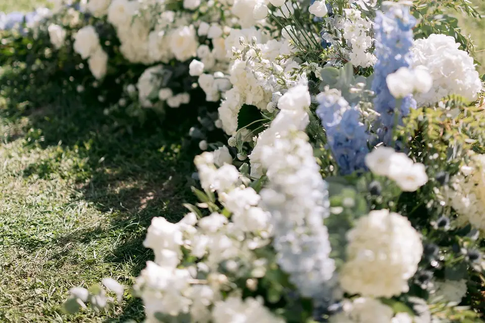 Les Amourettes - Clément Tirard-Collet — photo 3