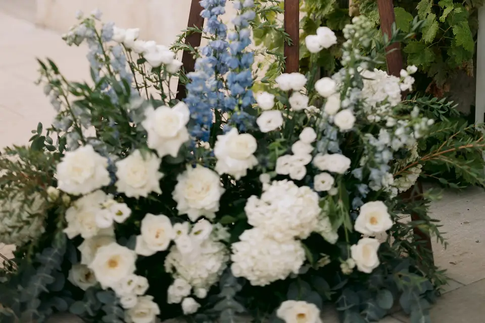 Les Amourettes - Clément Tirard-Collet — photo 4