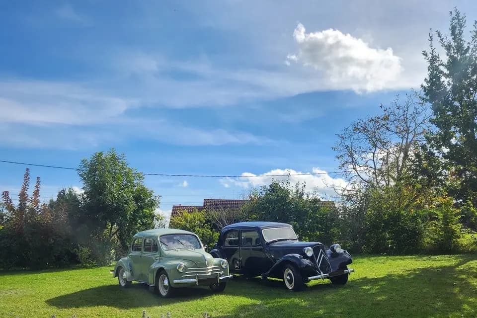 Les Belles Guimbardes — photo 4