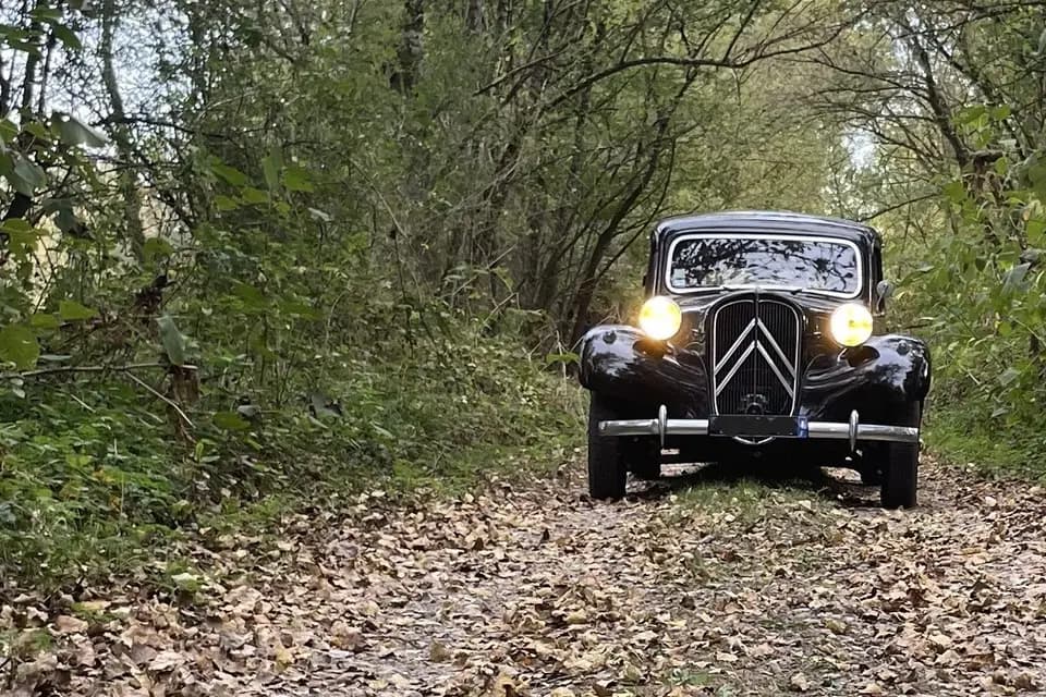 Les Belles Guimbardes — photo 3