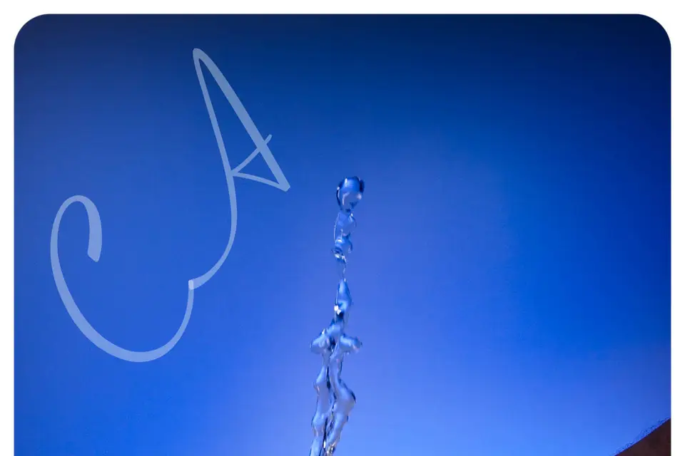 Cocktails Animation — photo 7