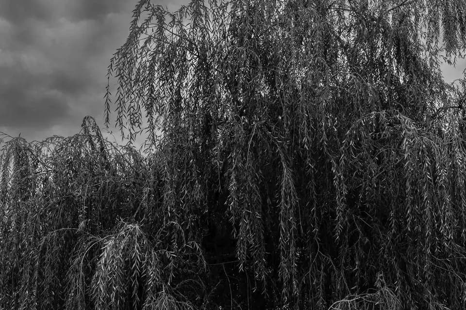 Dayanou Boina — photo 8