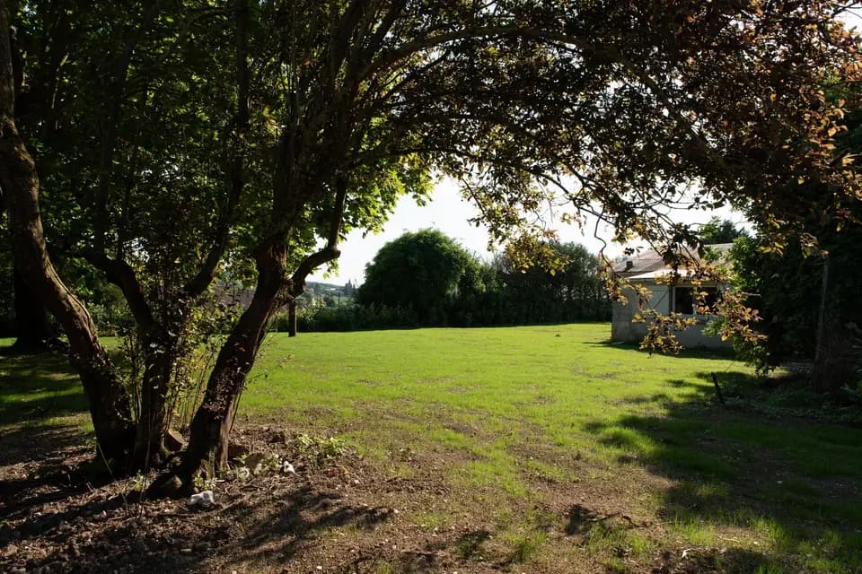 La Mézandrée — photo 4