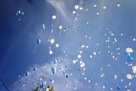 MDY Services — photo 8