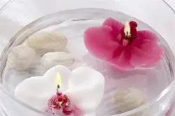 MDY Services — photo 2