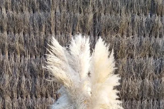 Miloc Dco — photo 7