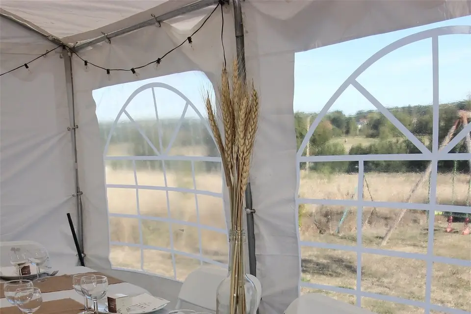 Fiesta Boum Boum — photo 4