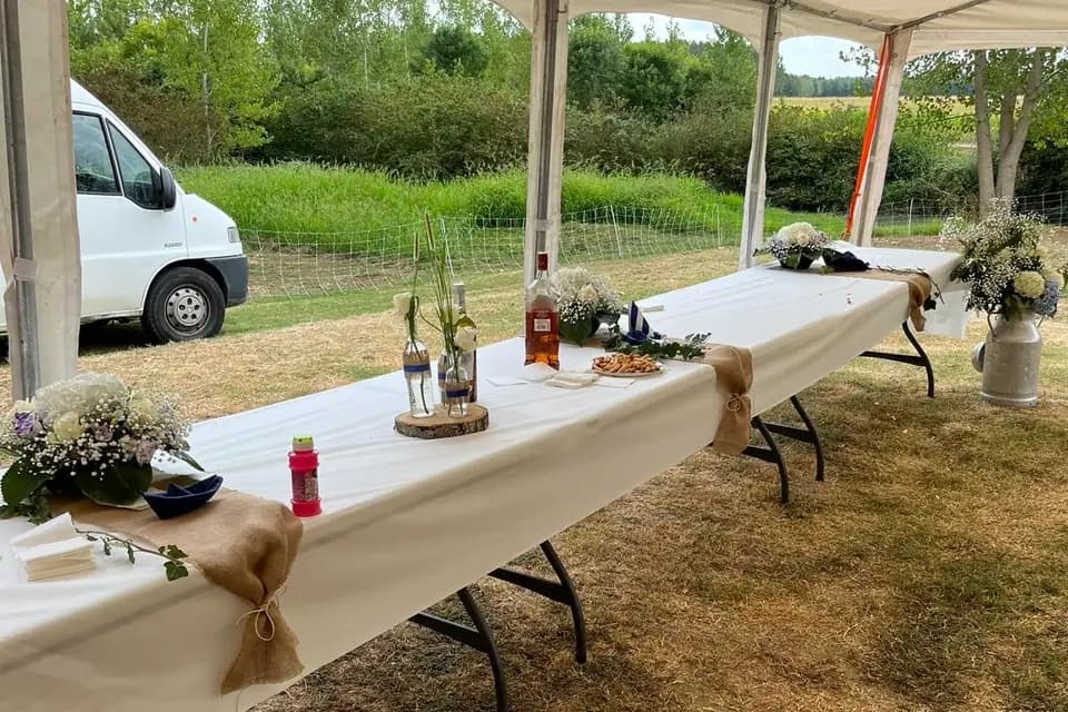 E.C.T location — photo 4