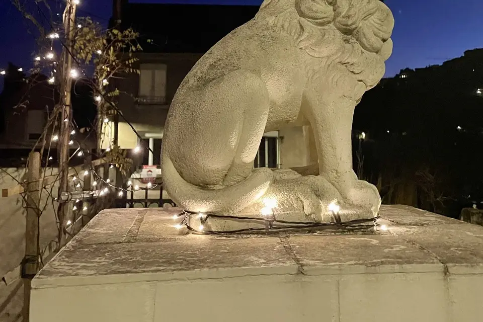 Nermond Charline — photo 7