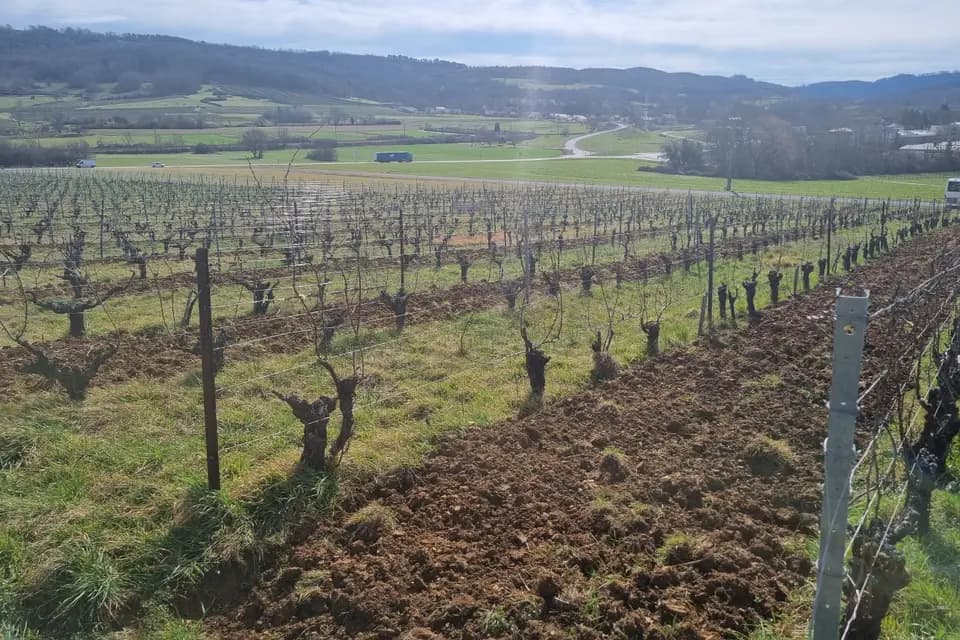 Divins Flacons — photo 1