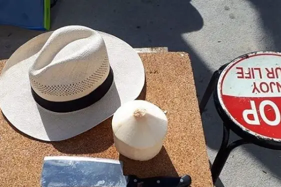 Aud Coco — photo 4