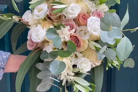 L'Évasion Végétale — photo 3