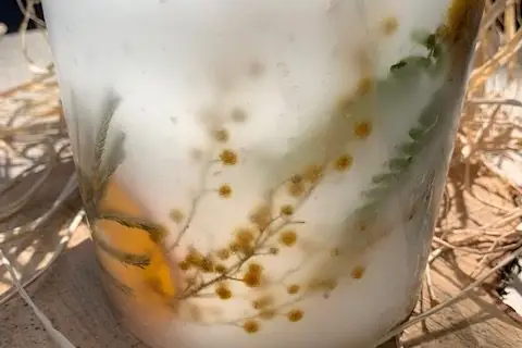 L'Atelier de Cyril — photo 1