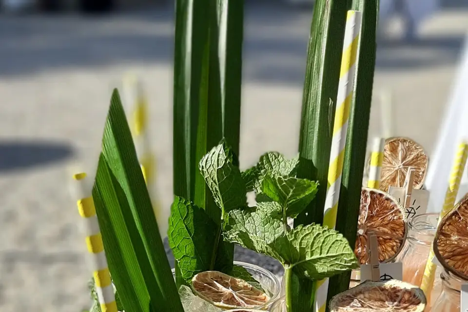 29.6 Cocktails — photo 5