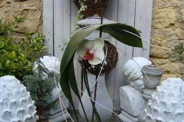 Aux Temps Fleuris — photo 4