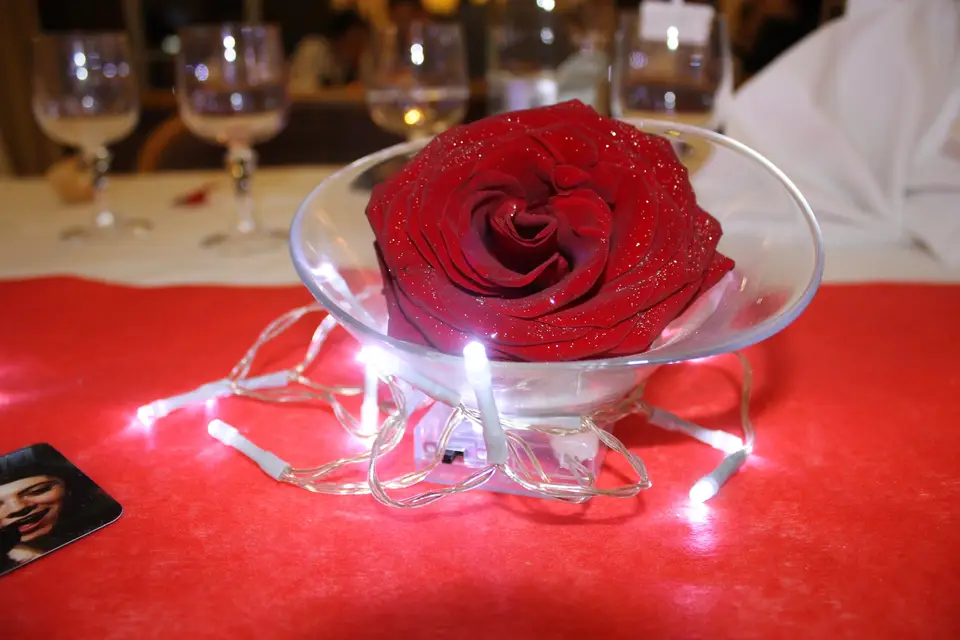 Colibri Evenements — photo 2