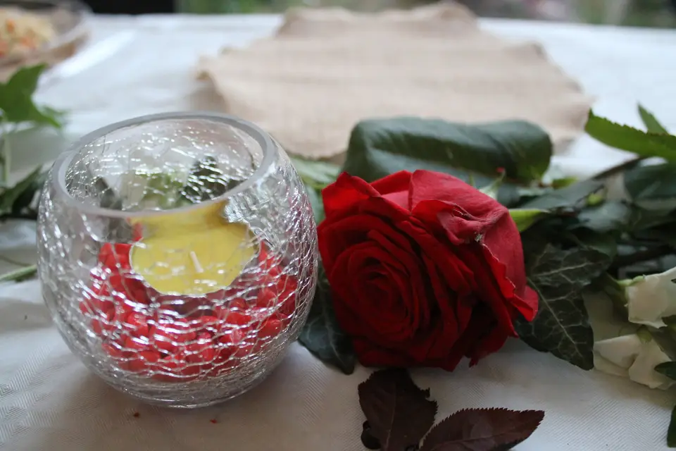 Colibri Evenements — photo 7