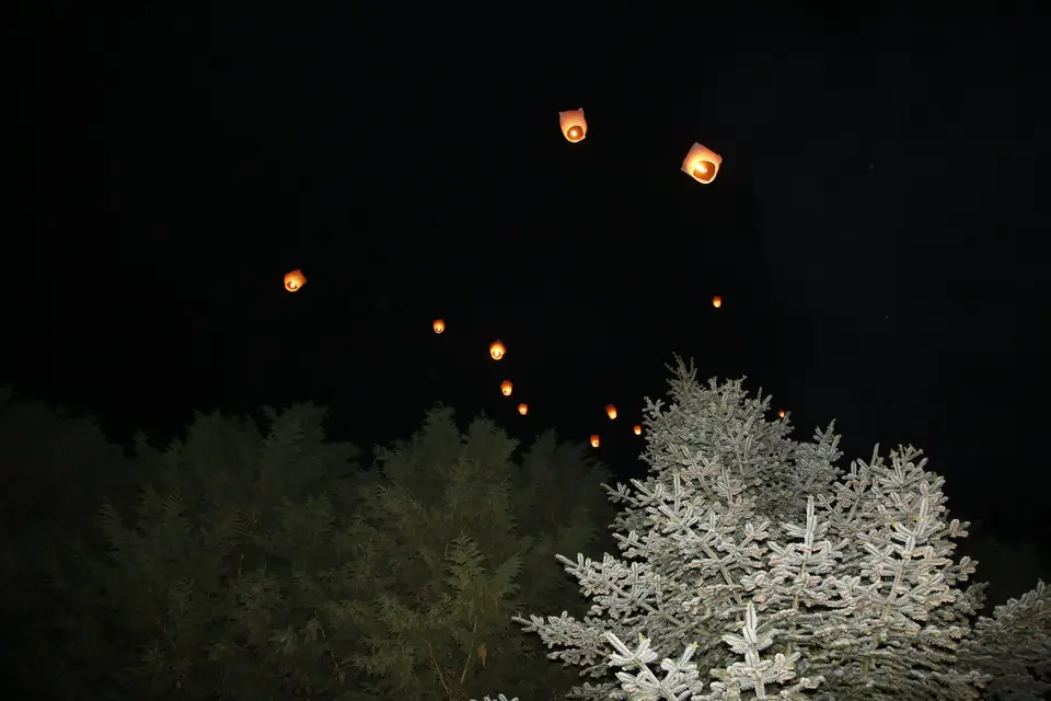 Colibri Evenements — photo 6