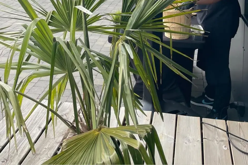 Tous Ensemble — photo 8