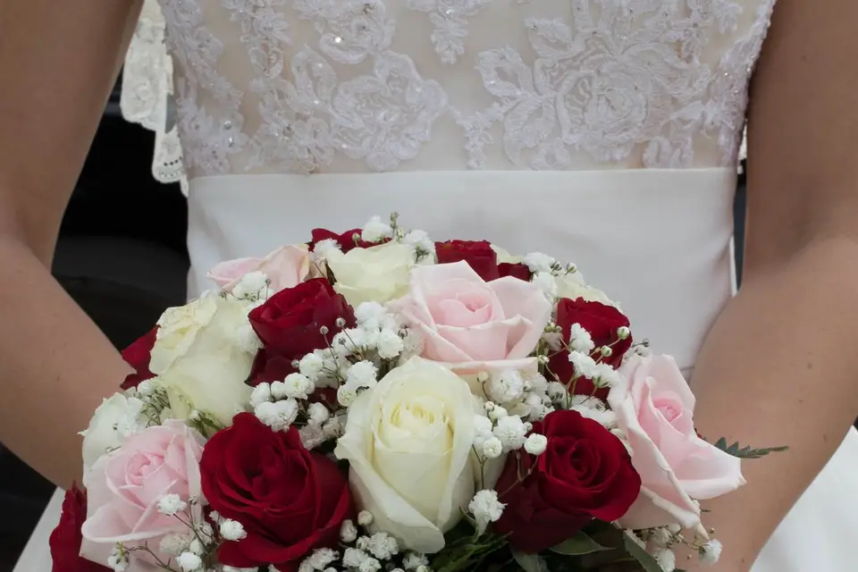 Guy Harnist Photographe — photo 7