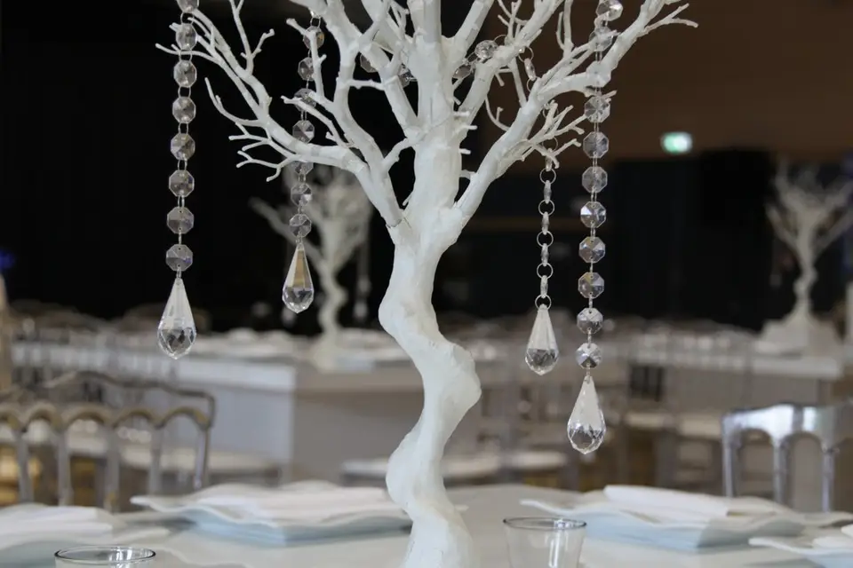 So'Events — photo 5