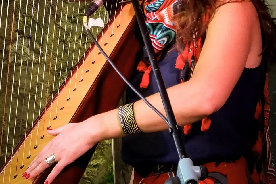 Louise Septet — photo 7