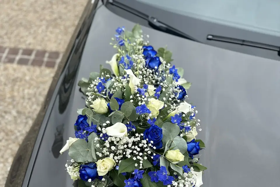 Rouge Pivoine — photo 7