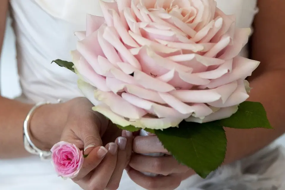 Des Fleurs Des Fleurs Etc — photo 1