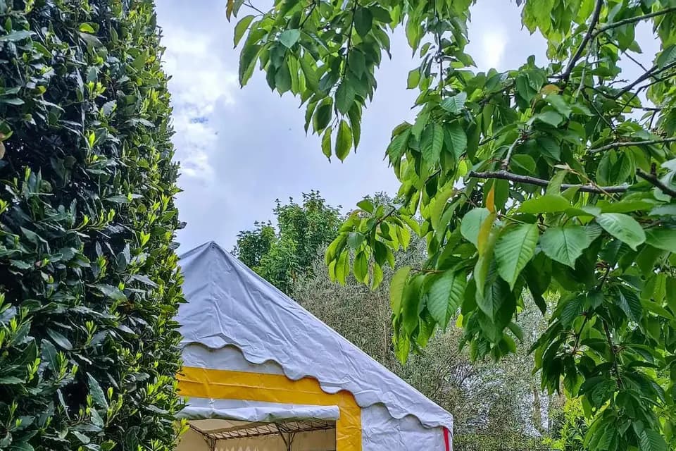 Event&Co — photo 4