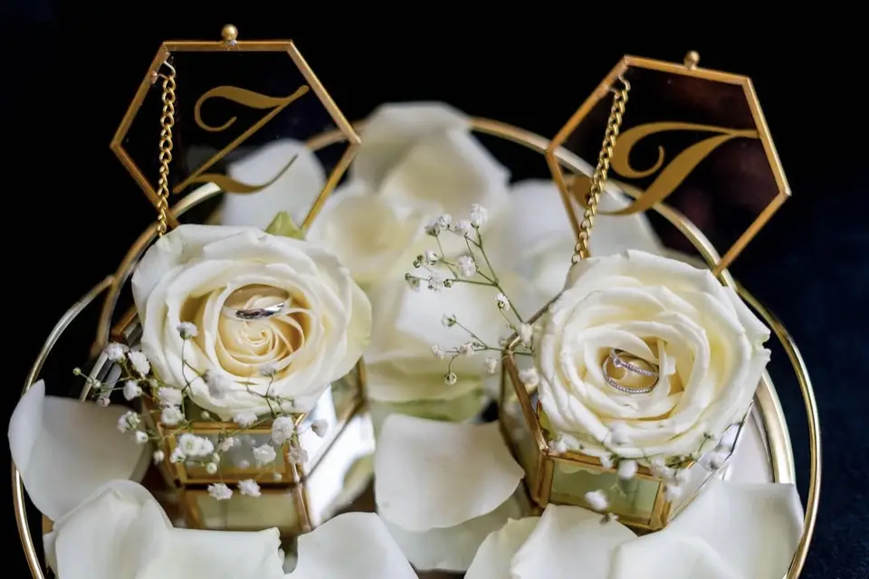 Creative MS — photo 2