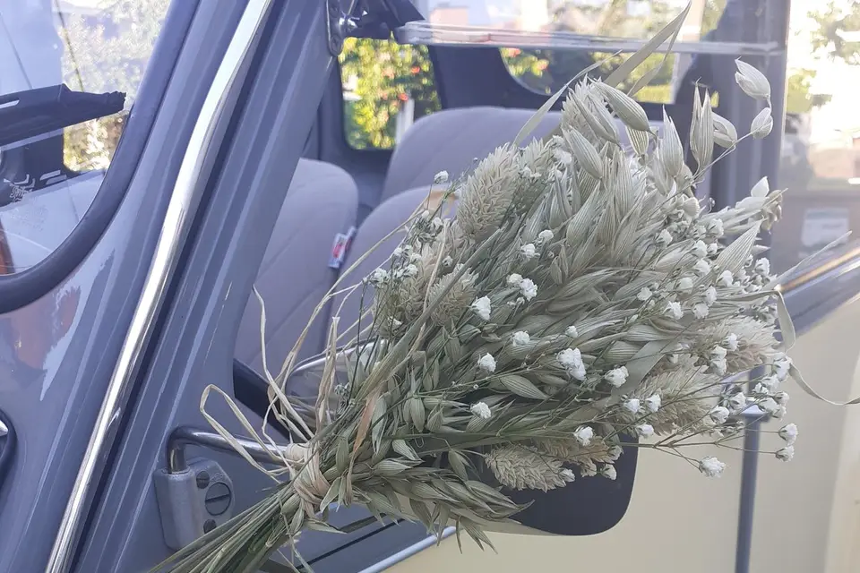 Cantal A Deuche — photo 5