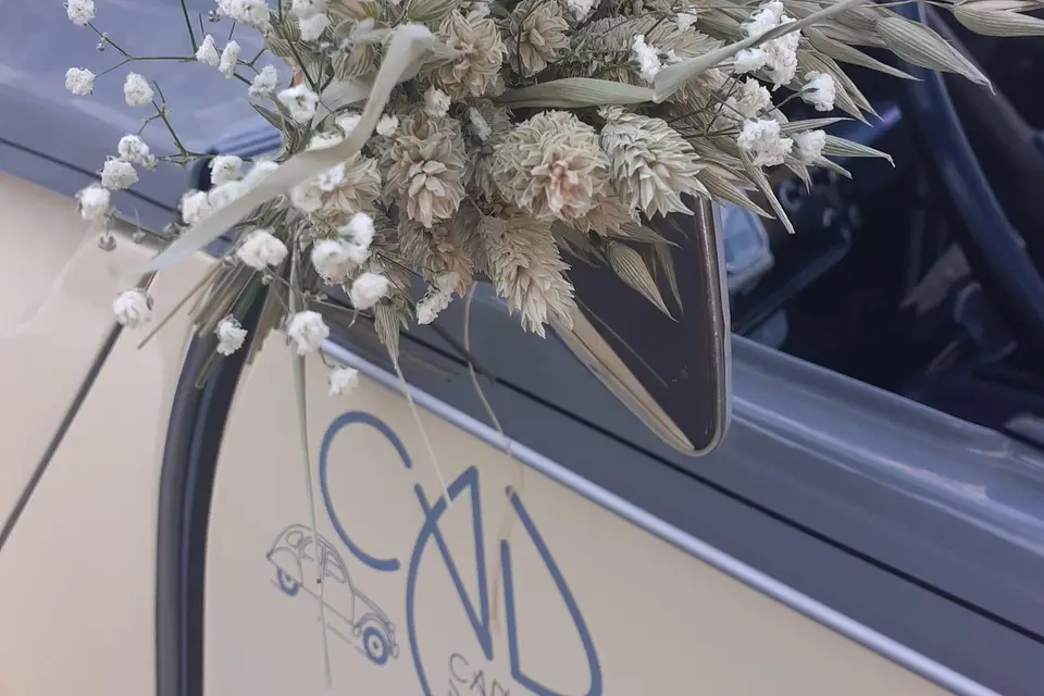 Cantal A Deuche — photo 3