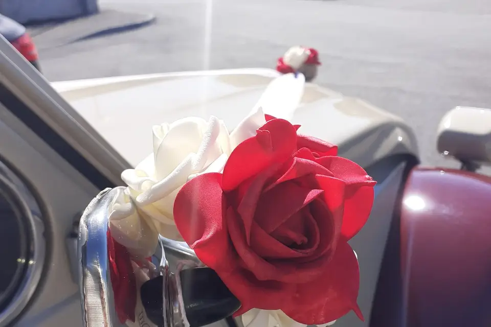 Cantal A Deuche — photo 2