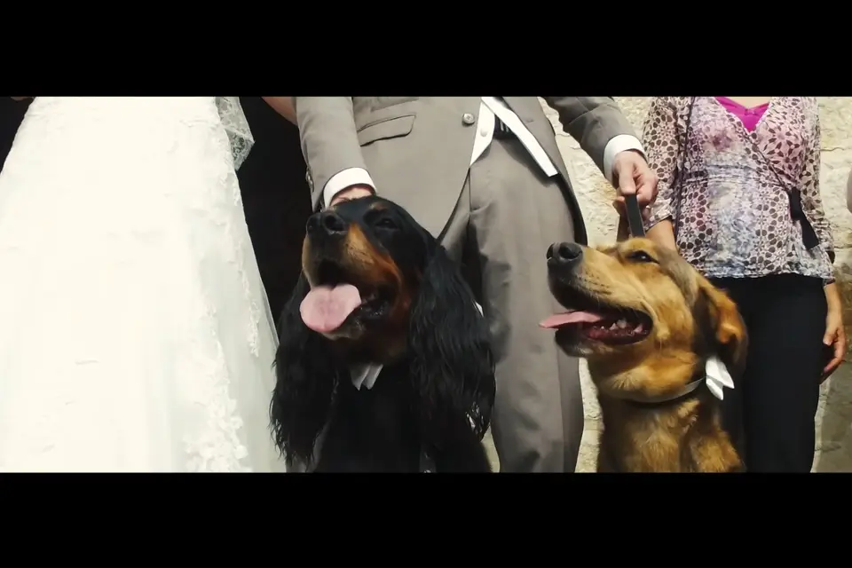 Timothée Piron — photo 5