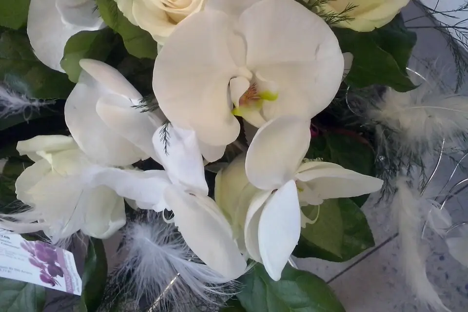 Nuance Flor — photo 6