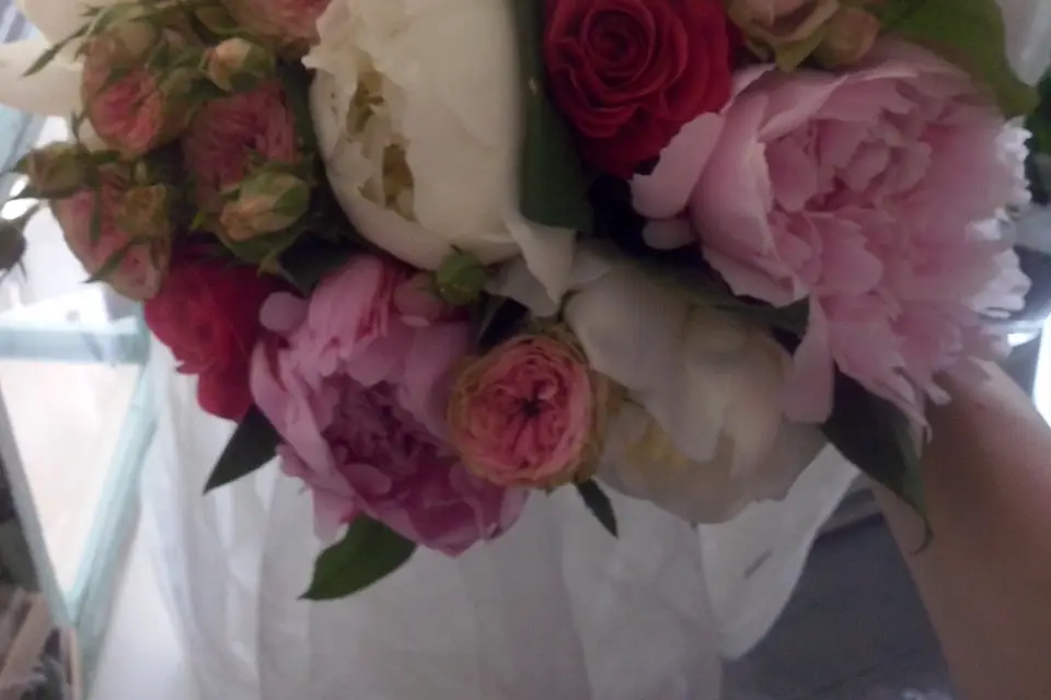 Nuance Flor — photo 5