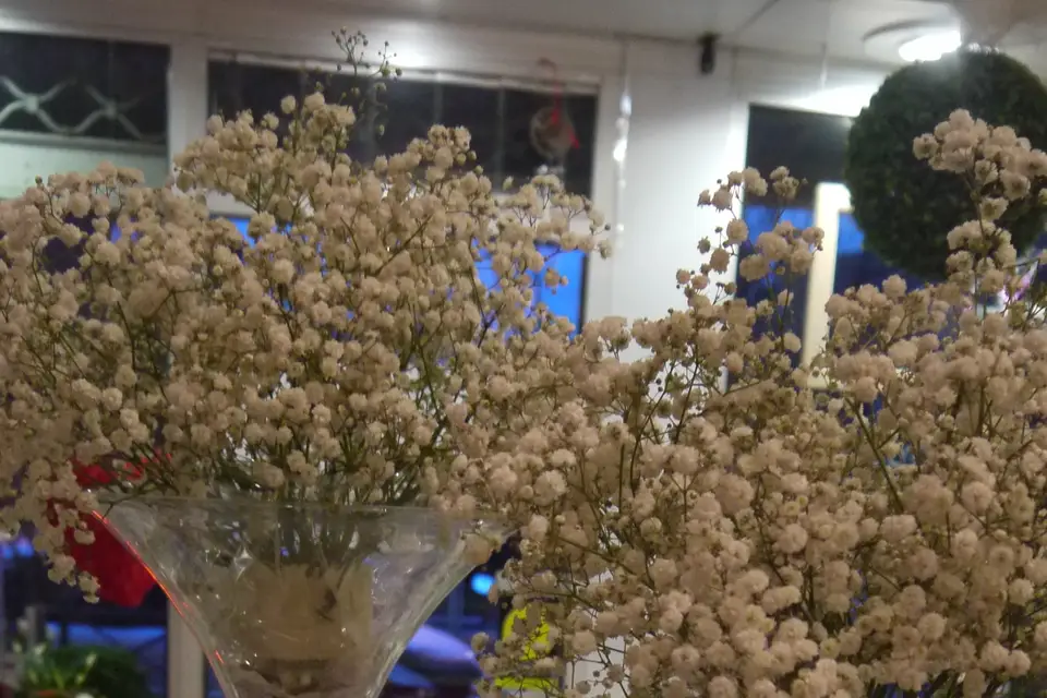 Nuance Flor — photo 3