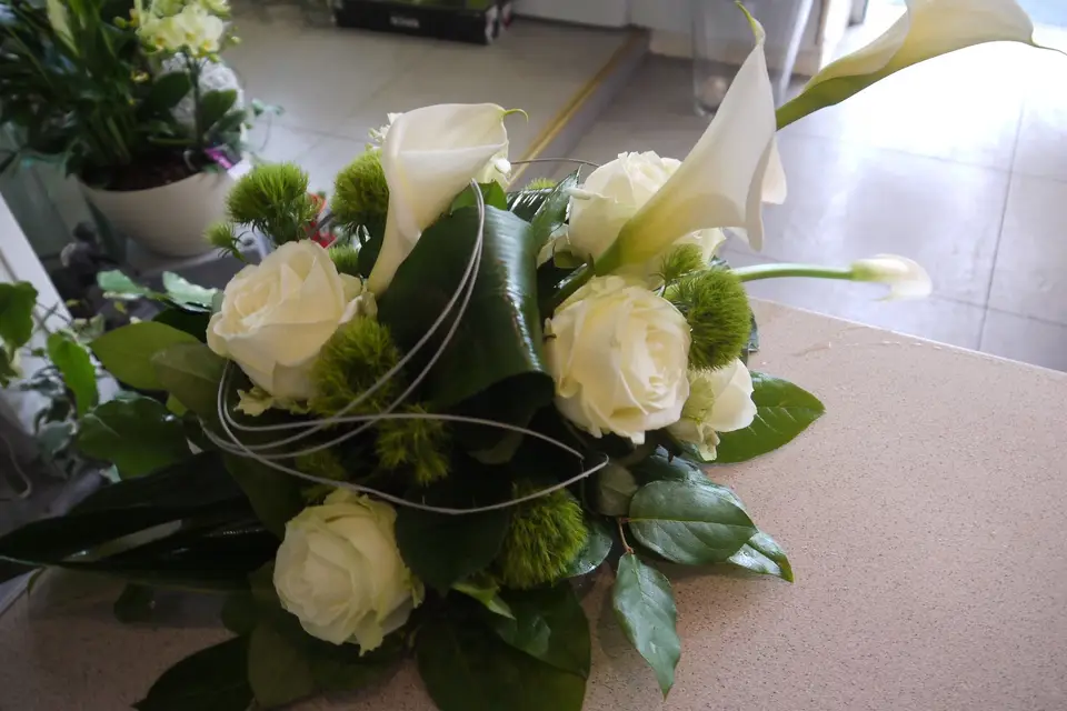 Nuance Flor — photo 2