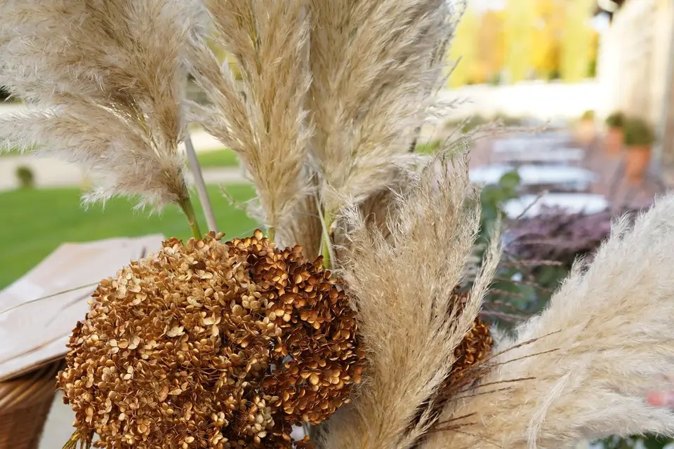 Anatolia Bloom — photo 8