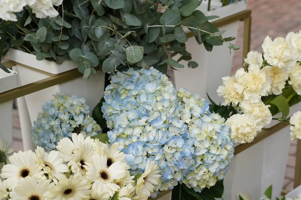 Anatolia Bloom — photo 7