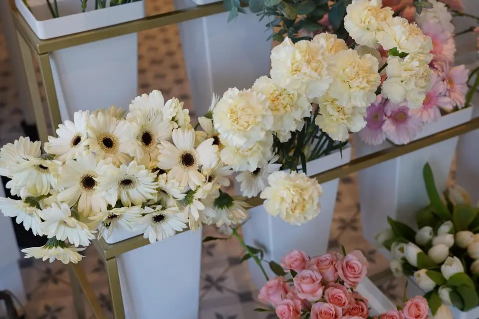 Anatolia Bloom — photo 3