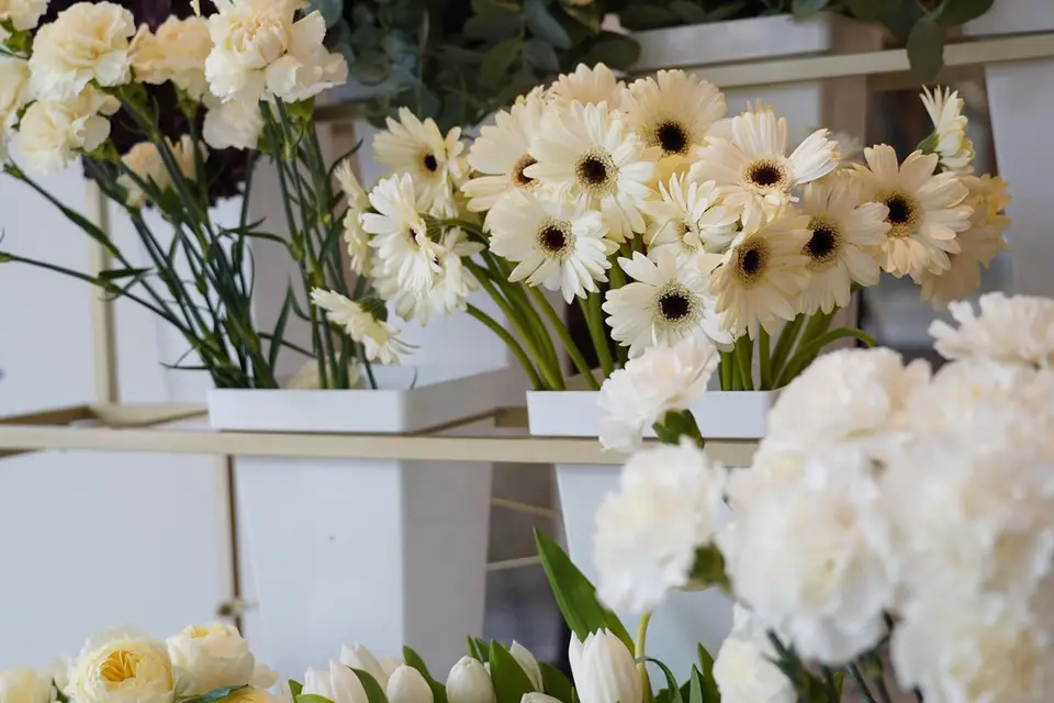 Anatolia Bloom — photo 4