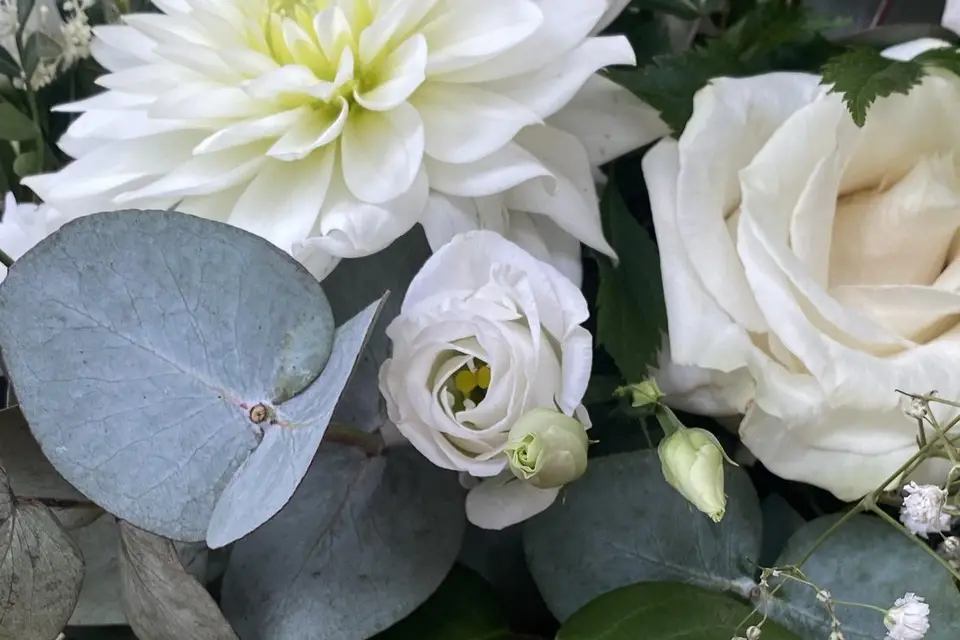 Les bougies de Lulu — photo 4