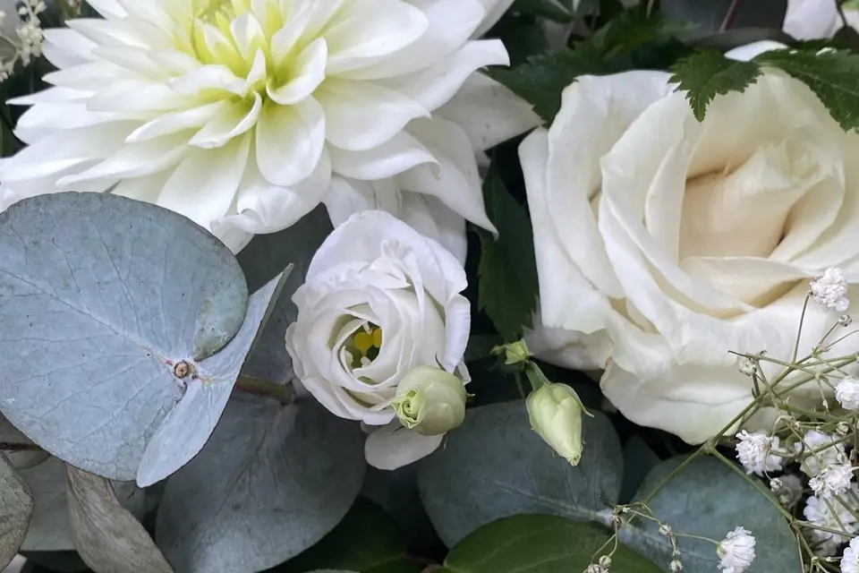 Les bougies de Lulu — photo 5