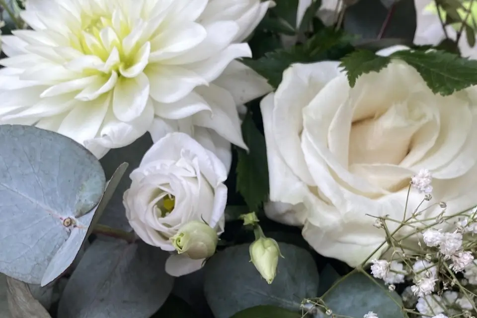 Les bougies de Lulu — photo 6