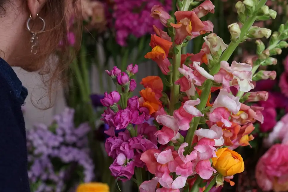 Fleurs de loup — photo 2