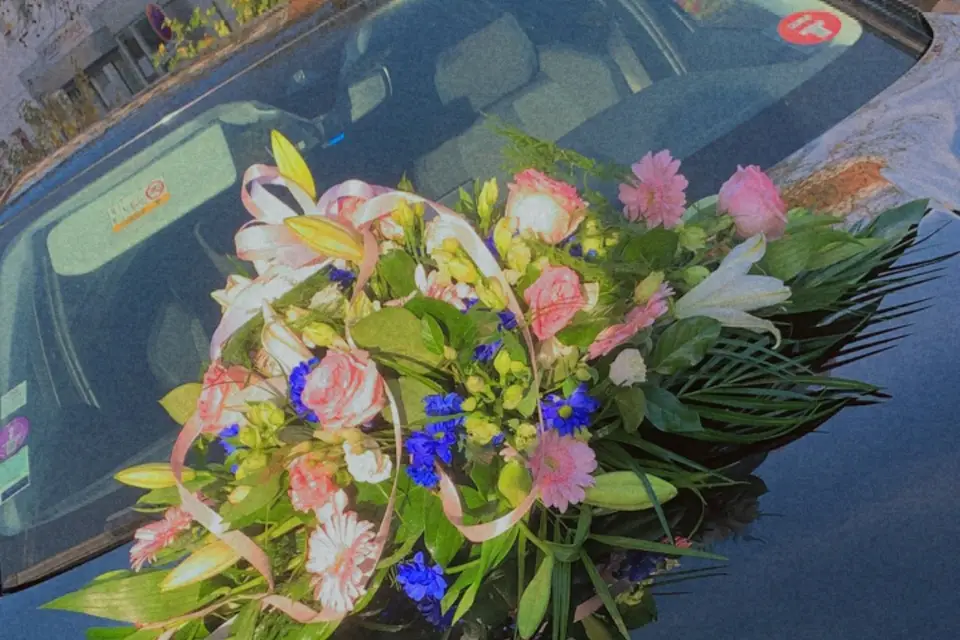 Glow Prestige — photo 7